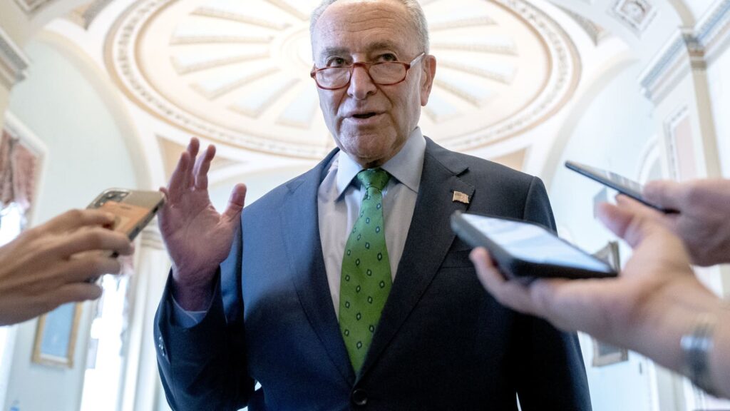 Senate aims to pass Biden’s social spending plan before Christmas, Schumer says-government.vision