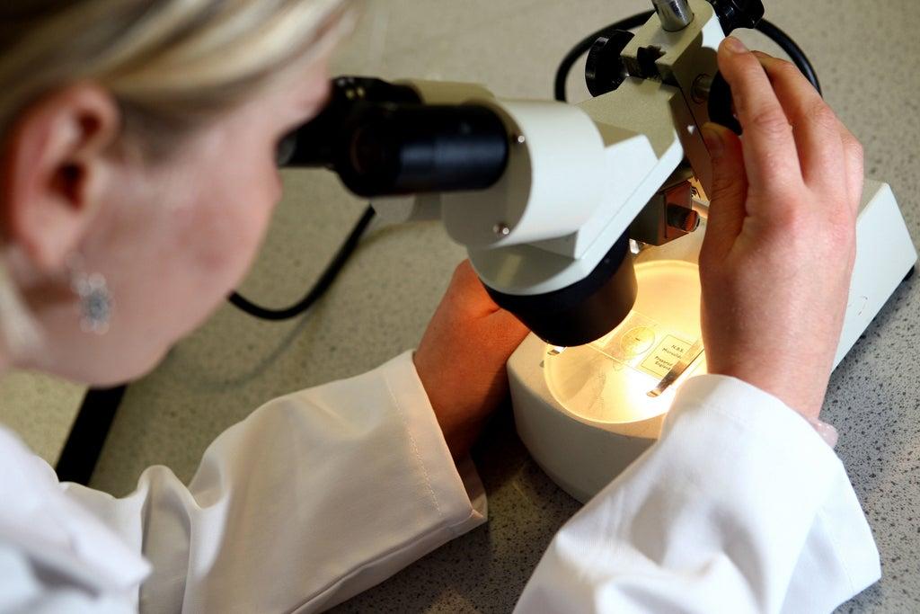 Government to invest £375 million in neurodegenerative disease research-government.vision